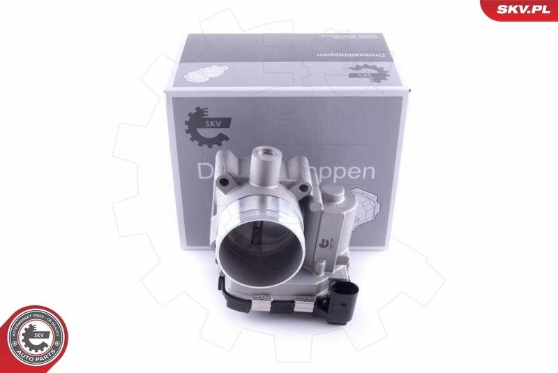 Throttle Body